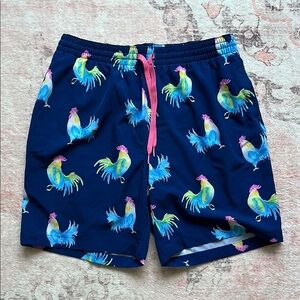 Chubbies Navy and Multicolor Swim Shorts